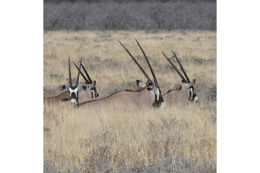 Namibia