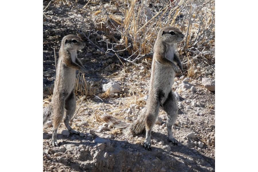 Namibia