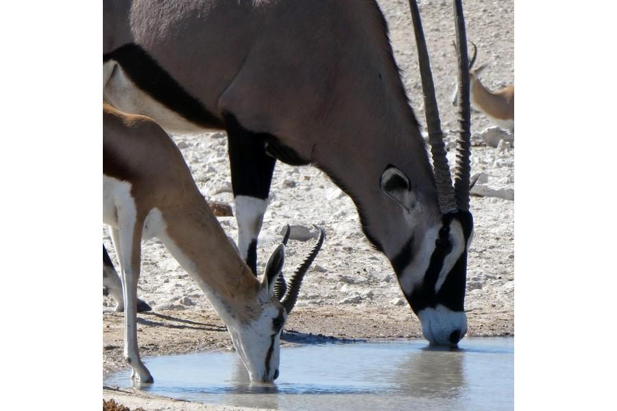 Namibia