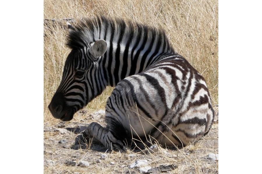 Namibia