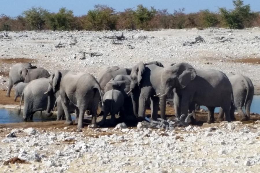 Namibia