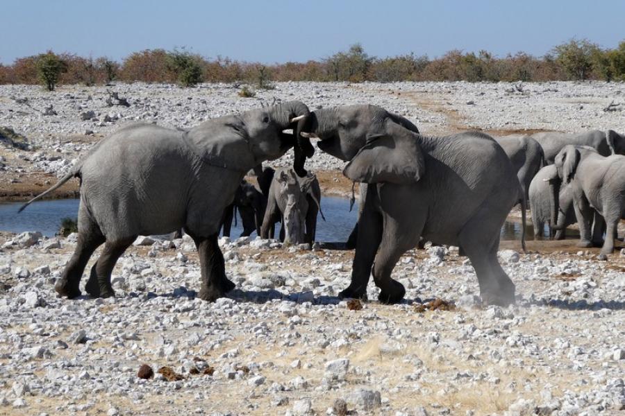 Namibia