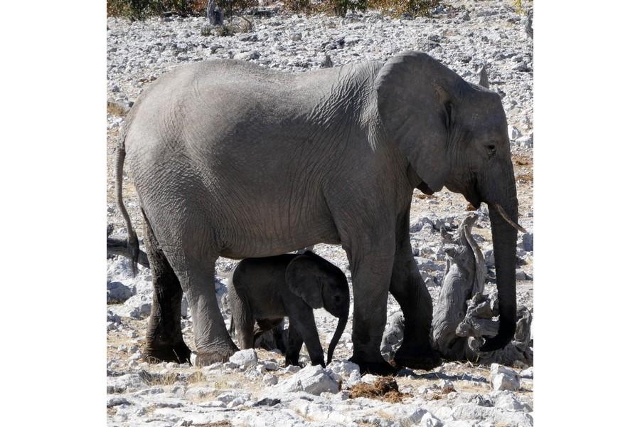 Namibia