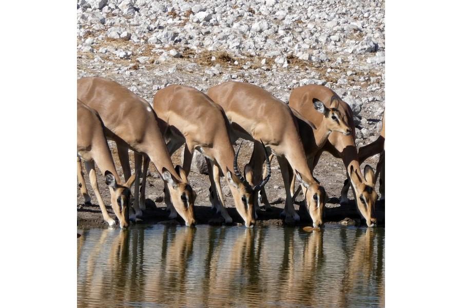 Namibia