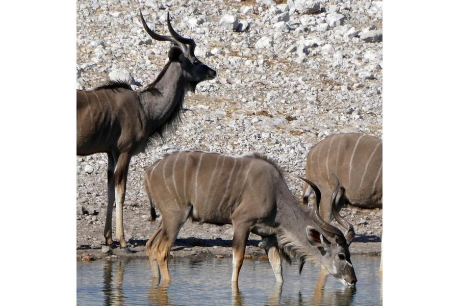 Namibia