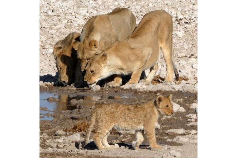 Namibia