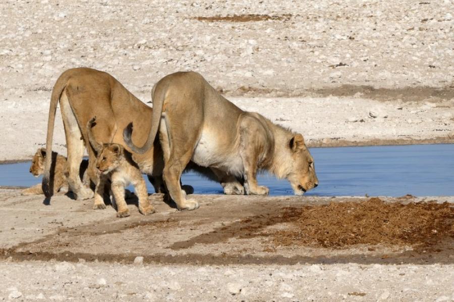 Namibia