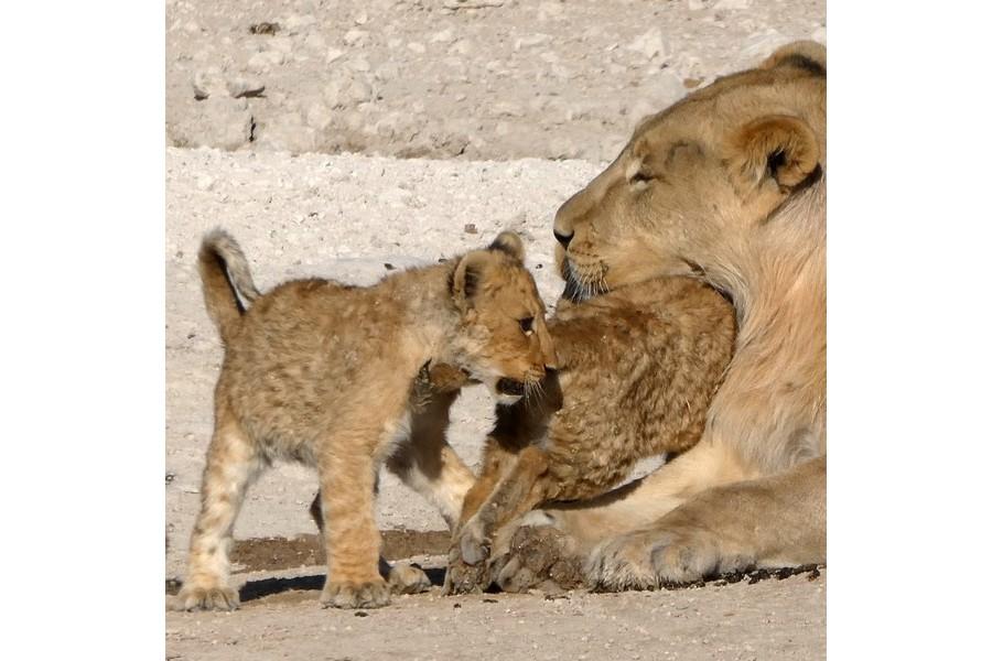 Namibia