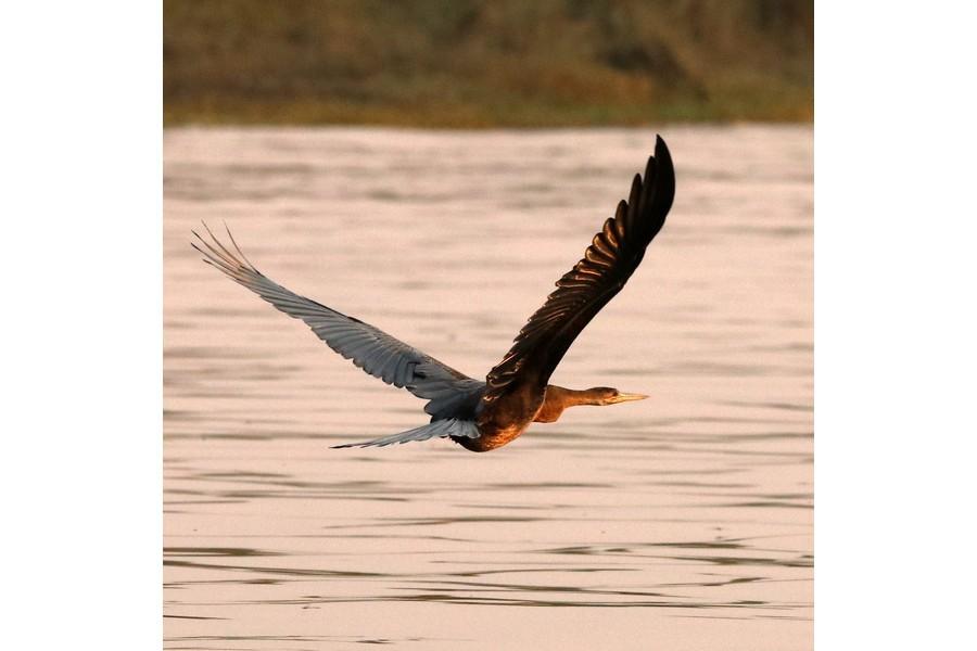 Chobe National Park