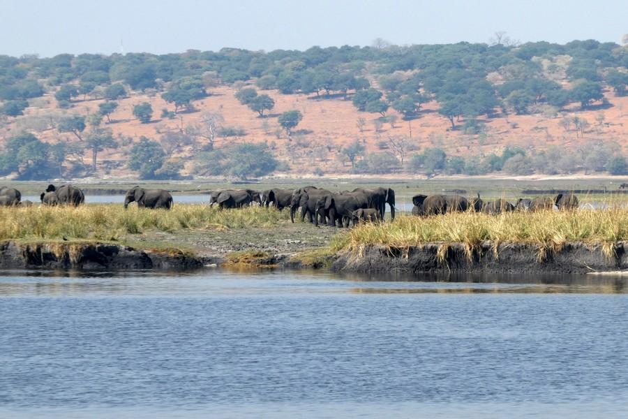 Chobe National Park