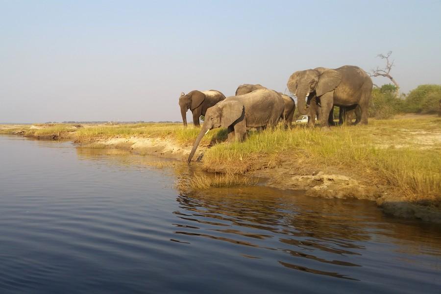 Chobe National Park