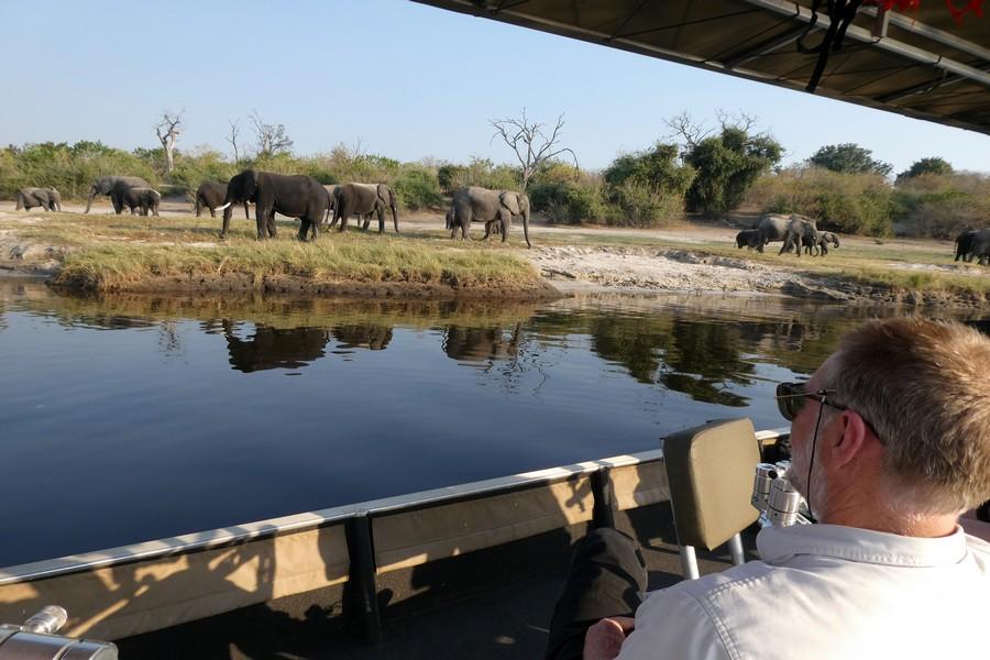 Chobe National Park