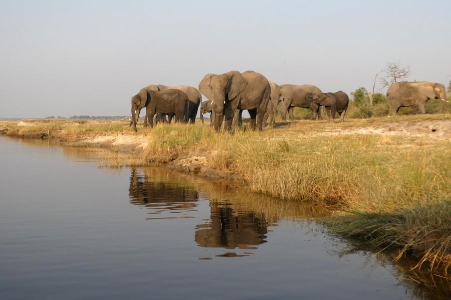 Chobe National Park