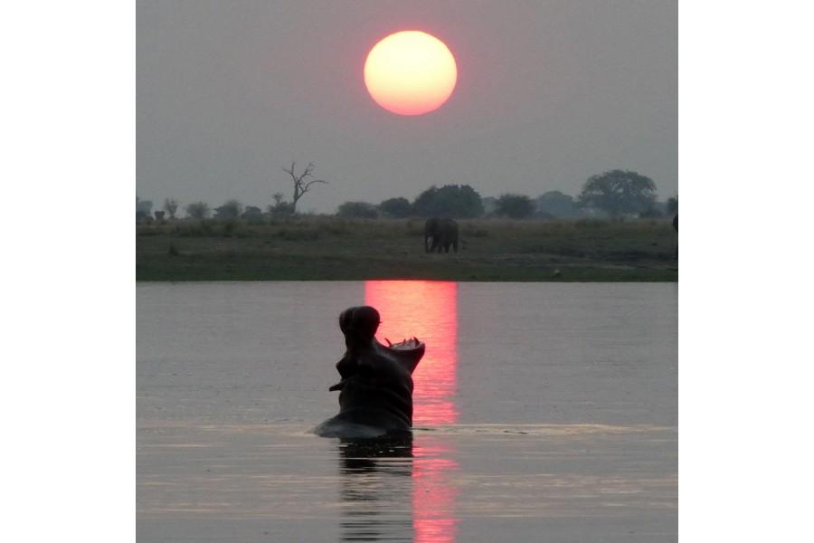 Chobe National Park