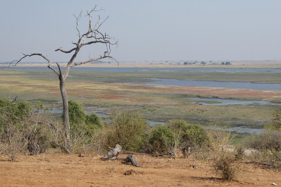 Chobe National Park