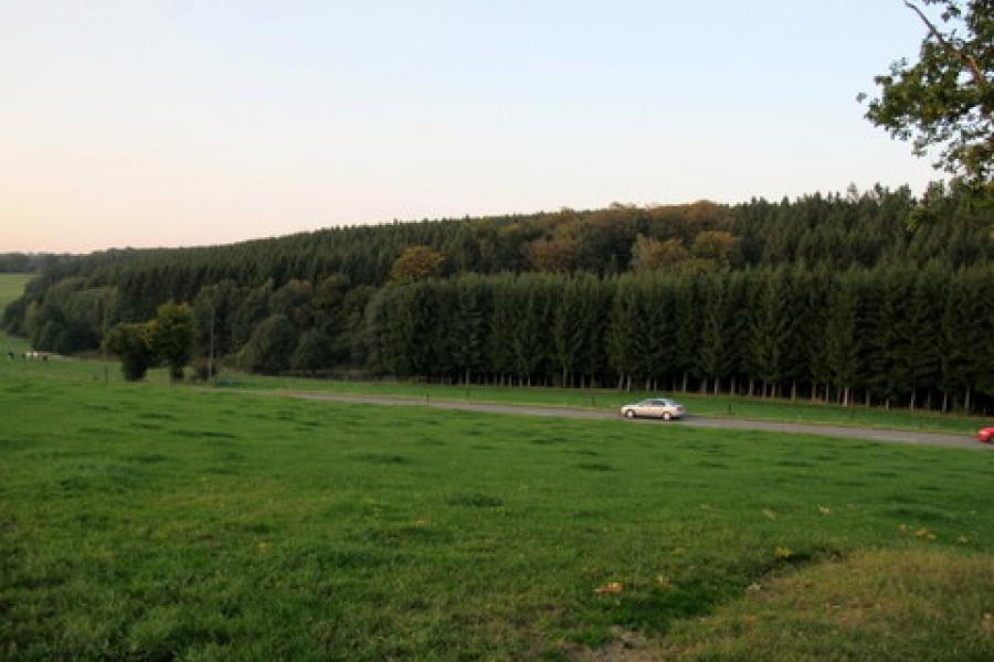 evening views from the Memorial