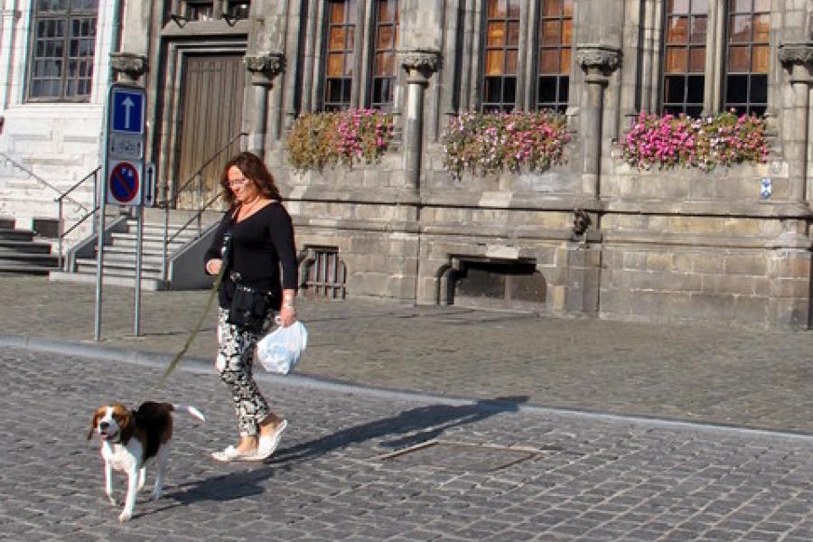 the main square Mons just waking up