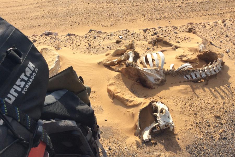 Desert Abu Simbel