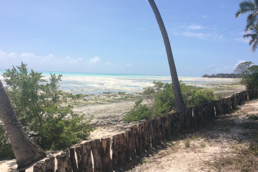 Paje, Zanzibar 