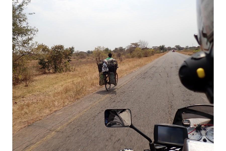 Zambia