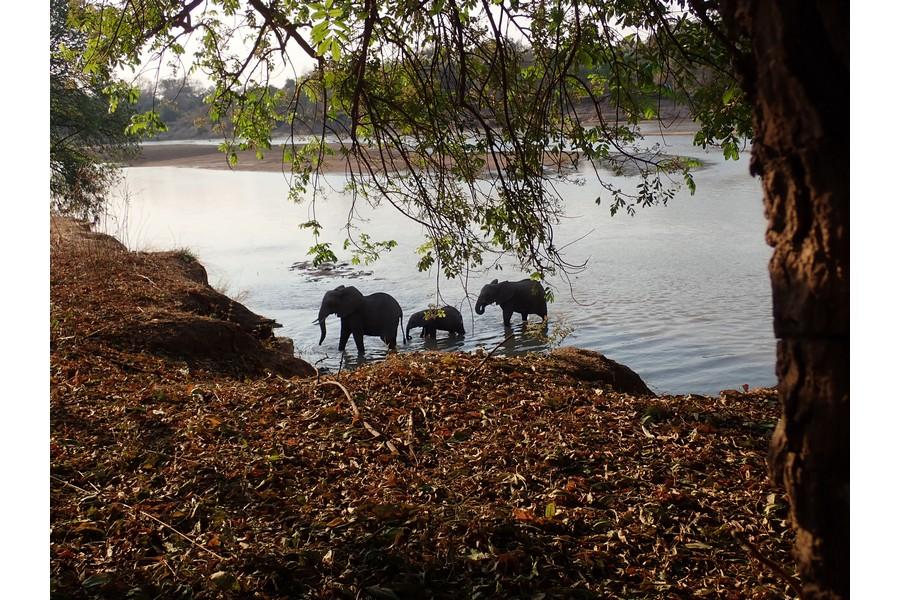 Zambia