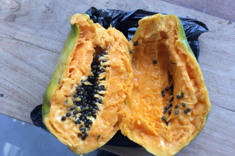 Fresh papaya 