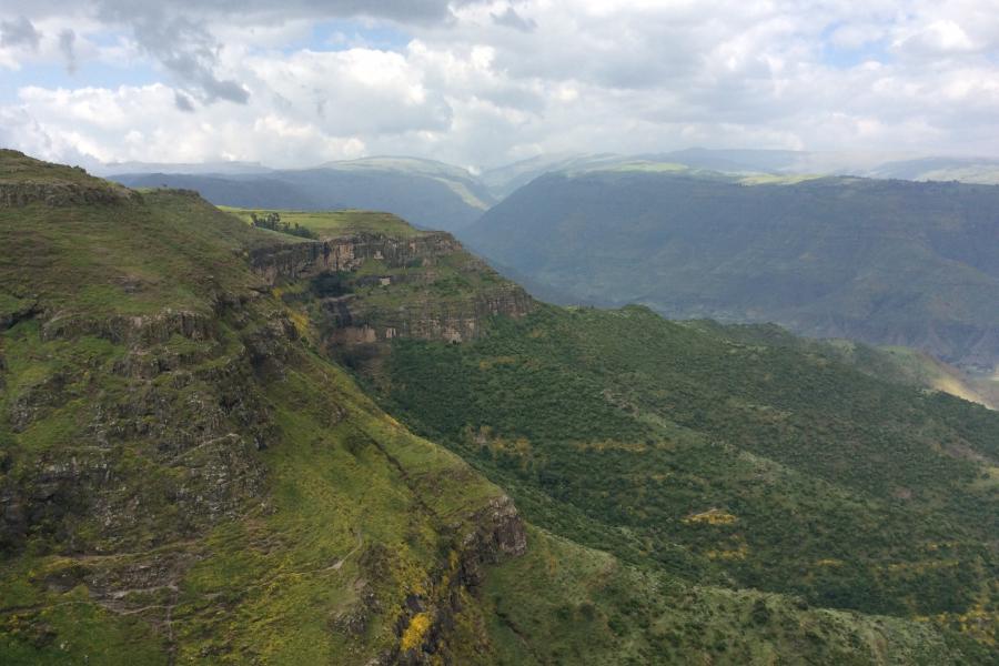 Simien