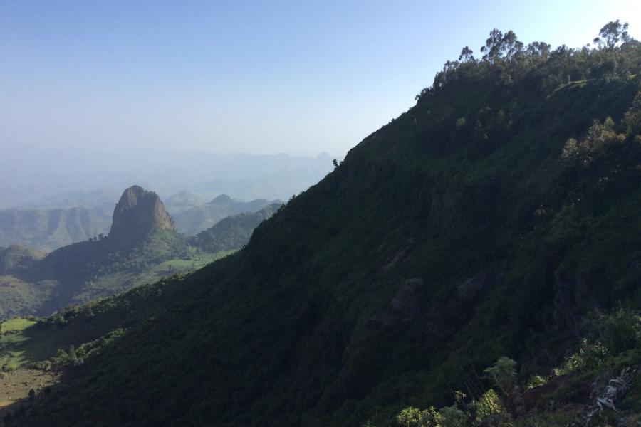 Simien