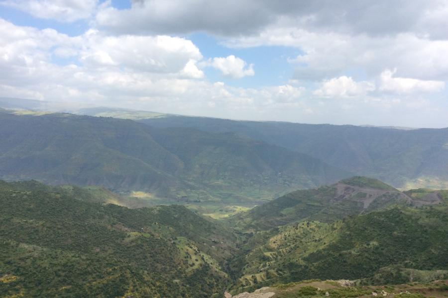 Simien