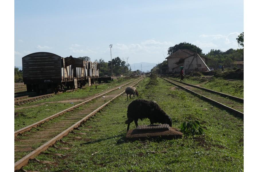 Tanzania