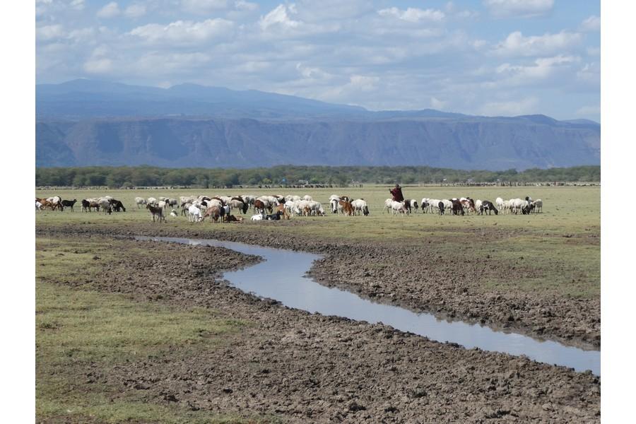 Tanzania