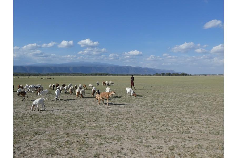 Tanzania