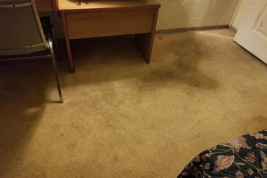 The Dreaded Carpet