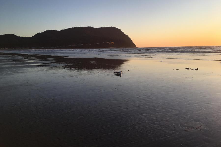 Sunset in Seaside Oregon,   Tillamook Head