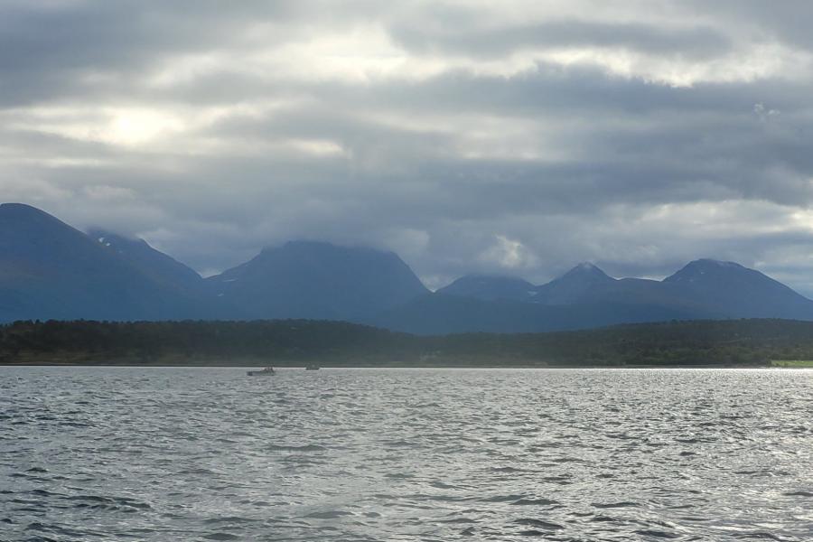 Troms fjord 3