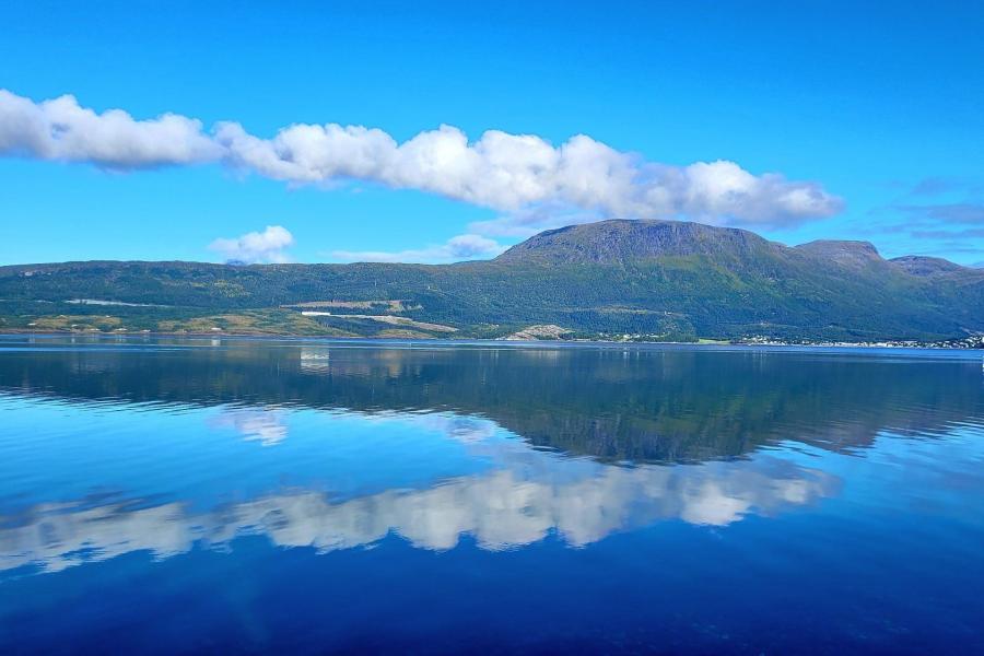 Narvik bay 