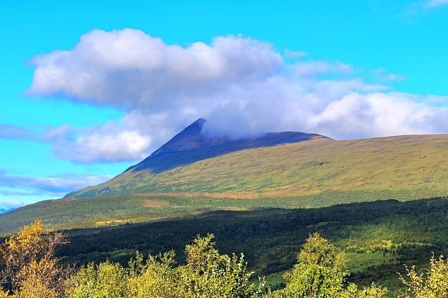 Narvik upland 3 