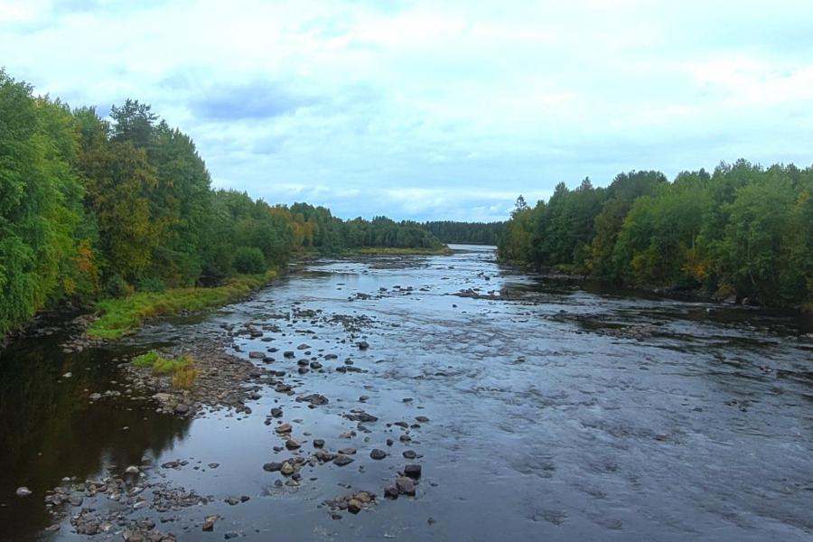 Anonymous river