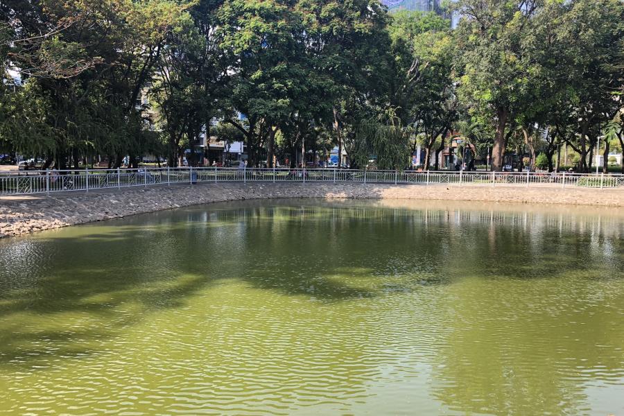 Pond in HCMC