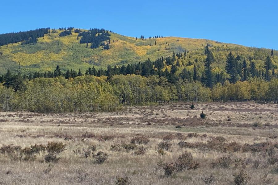 Autumn Colors with the Aspens out in Force.  Between Denver and Durango