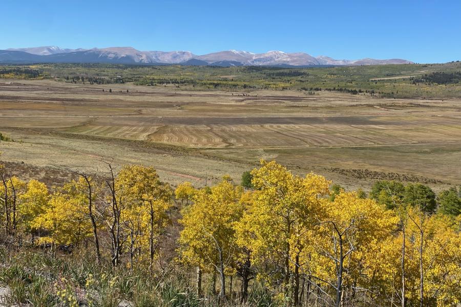 ASPENS