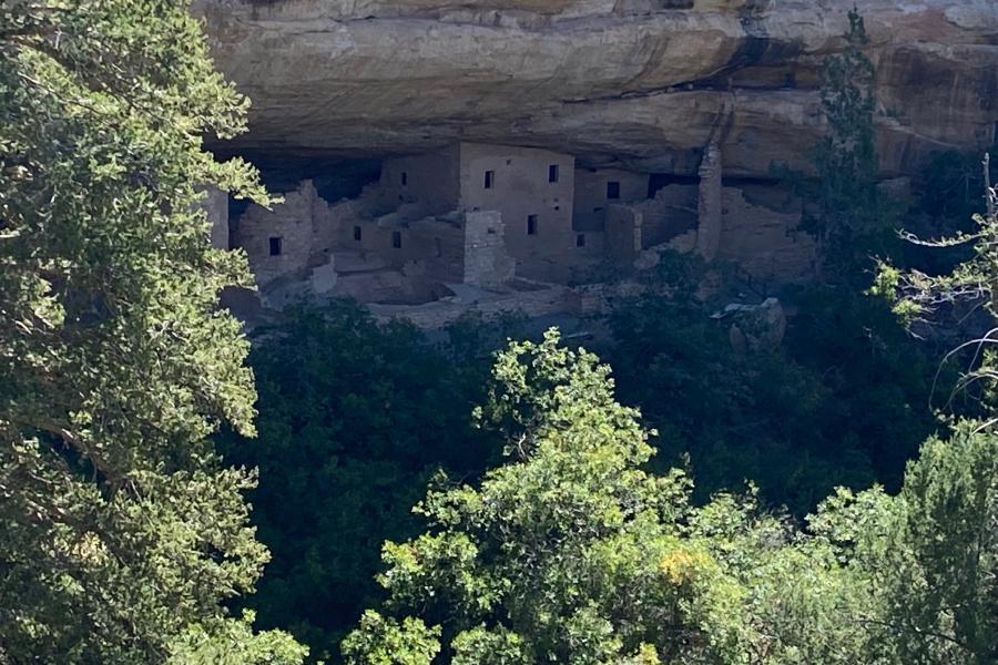 Cliff Dwellings in Mesa Verde near the museum.