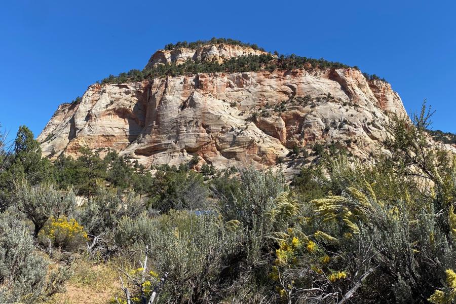 Random Formations near Page, Arizona