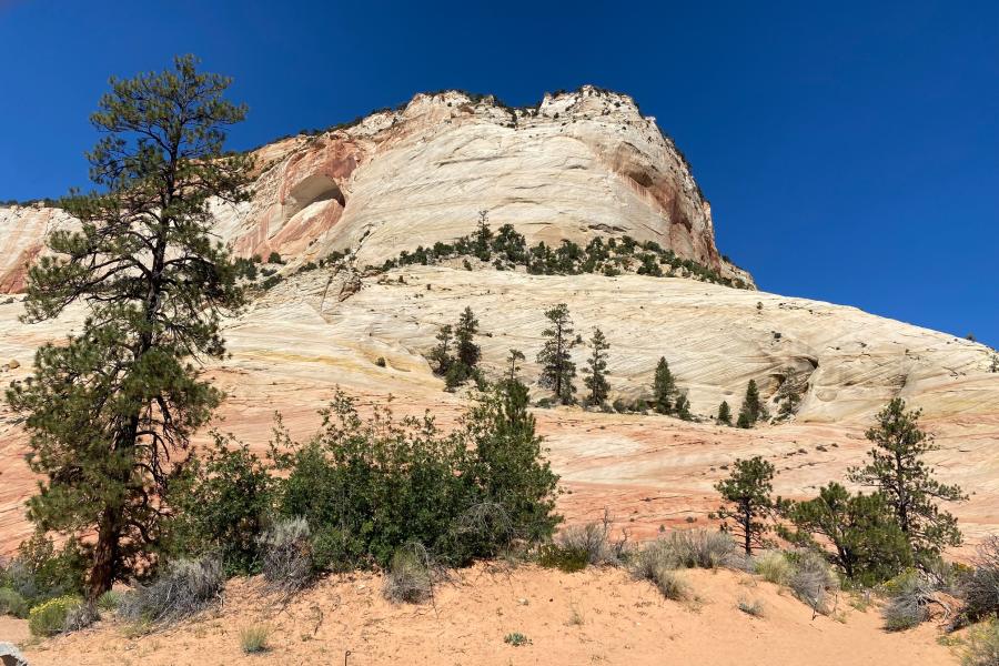 Zion National Park