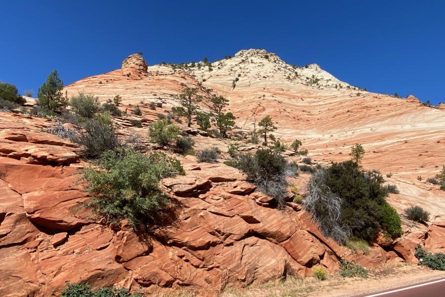 Zion National Park