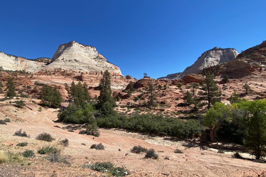 Zion National Park