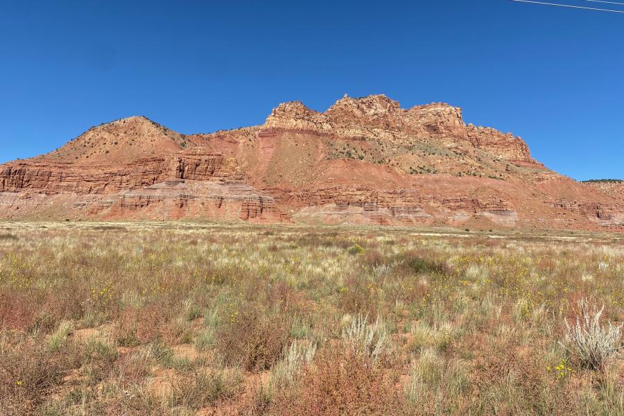 Random Rocks in Utah