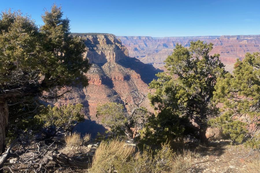 Grand Canyon