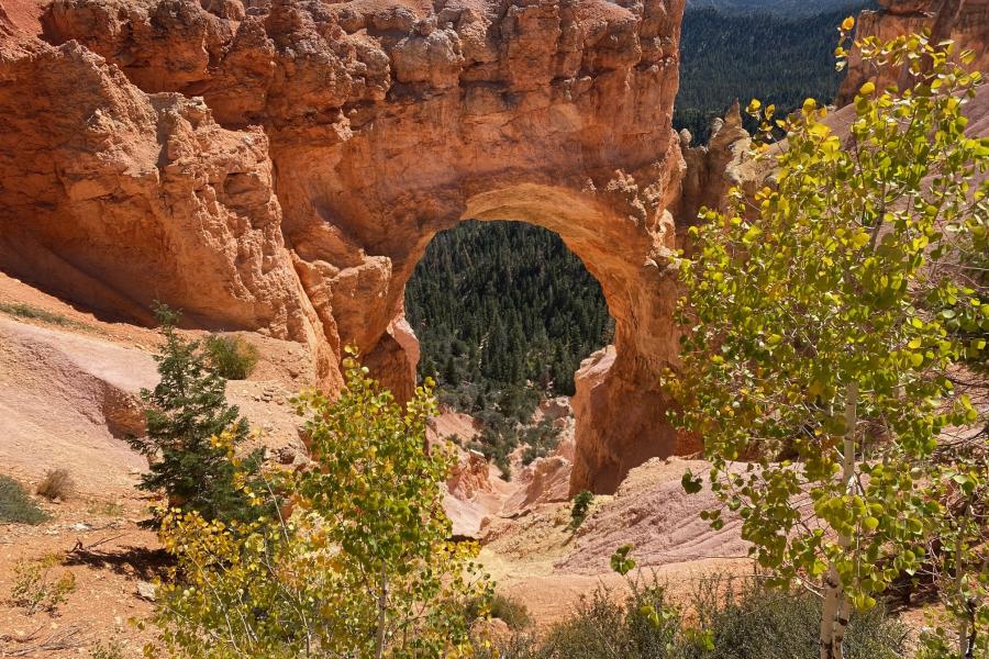 Bryce National Park