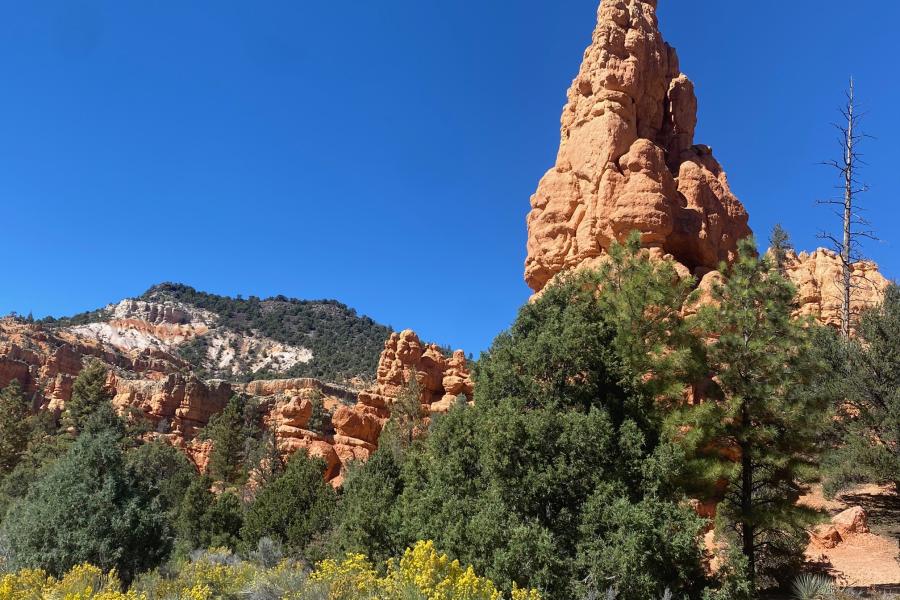 Red Rocks near Bryce